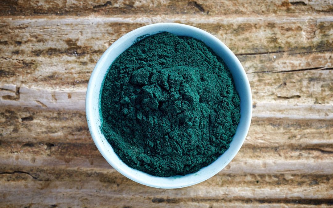 Overhead shot of a white bowl of Spirulina (green algae powder) powder sitting on a wooden table