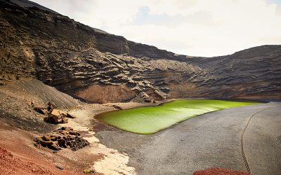 Algae Biofuels